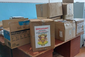 ����� 26 ���� ���������� ������� ������ ��������������� �������������� ����